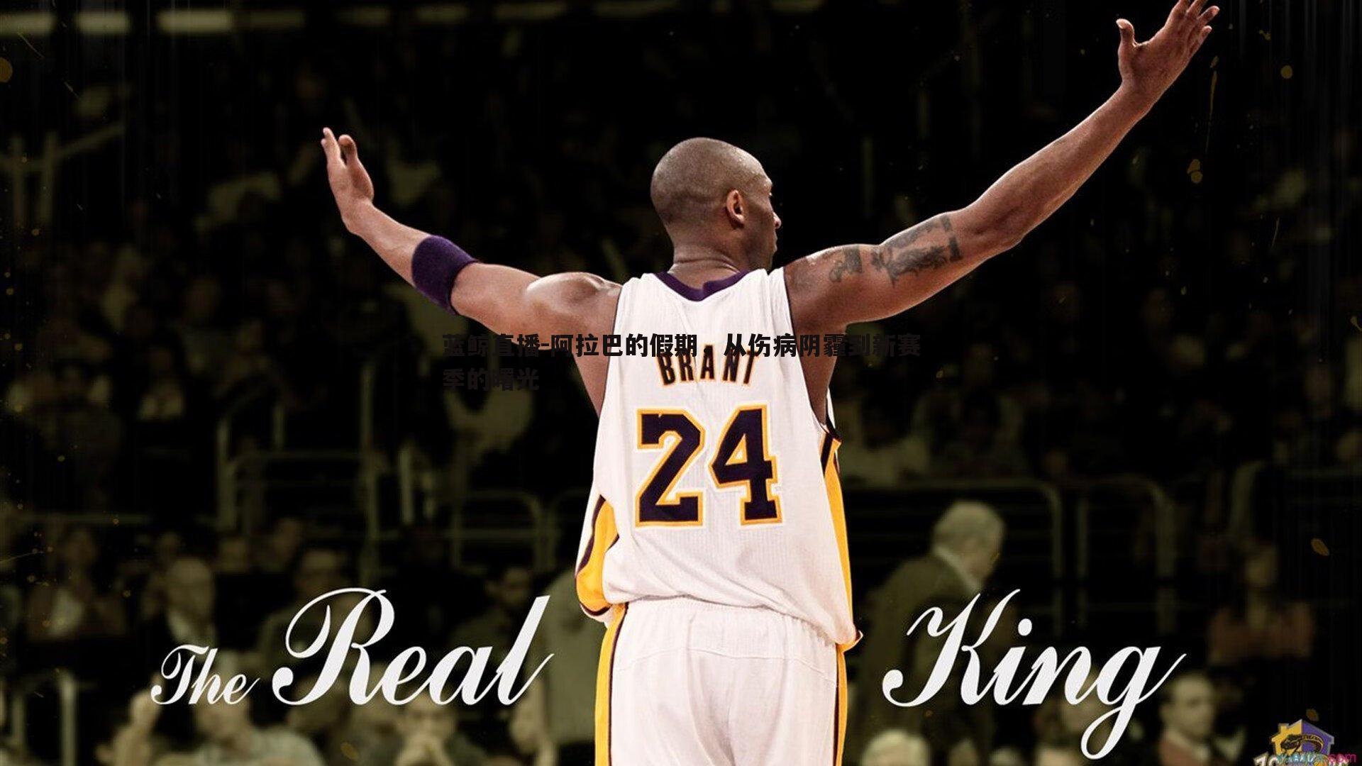 蓝鲸直播-阿拉巴的假期，从伤病阴霾到新赛季的曙光