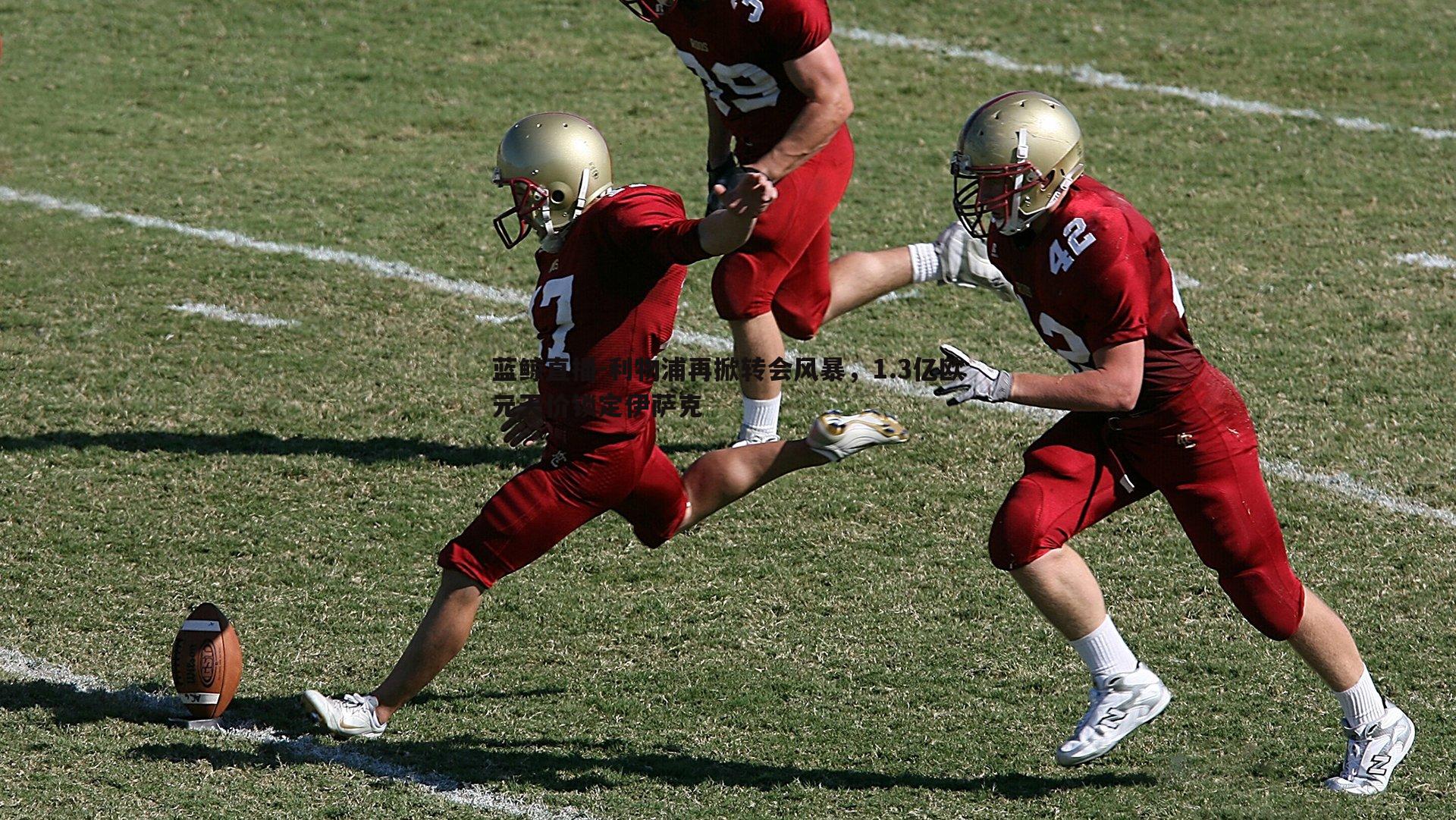 蓝鲸直播-利物浦再掀转会风暴，1.3亿欧元天价锁定伊萨克